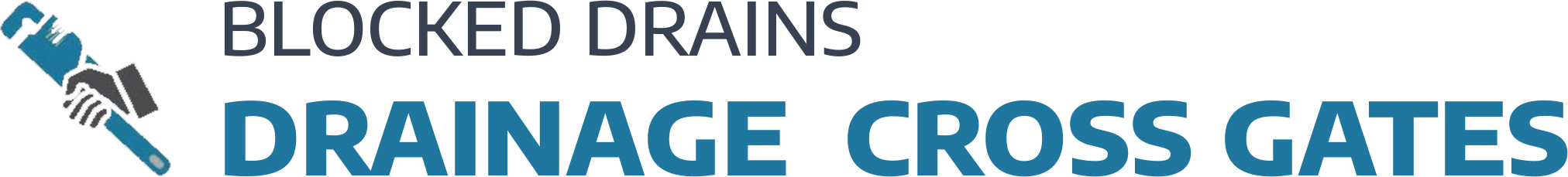 website logo